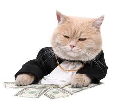 fatcatmoney